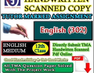 Nios English 302 Solved Assignment